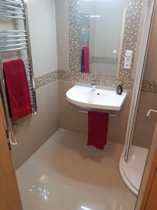 Ένα μπάνιο στο NEWLY BUILT APARTMENT 5 WITH BALCONY NEAR CENTER