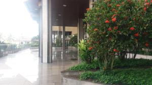 Κήπος έξω από το Mongaguá-Apartamento 3 Dorm. Jd.Marina