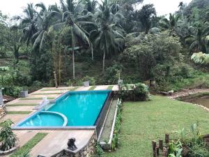 une piscine dans un jardin planté de palmiers dans l'établissement Sinharaja Hostel, à Deniyaya
