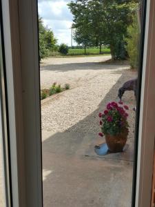 Zahrada ubytování Kyndestoft Bed & Breakfast