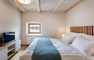 a bedroom with a large bed and a television at Hotel Kleis in Cvikov