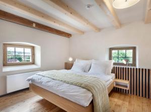 a bedroom with a bed and two windows at Hotel Kleis in Cvikov