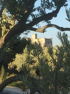 um castelo visto através dos ramos de uma árvore em Lou Badabeu em Le Barroux