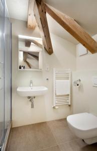 a bathroom with a sink and a toilet at Hotel Kleis in Cvikov