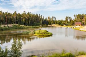 a large lake with trees in the background at Metsjärve kämpingumajake in Puskaru