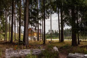 a house in the middle of a forest with trees at Metsjärve kämpingumajake in Puskaru