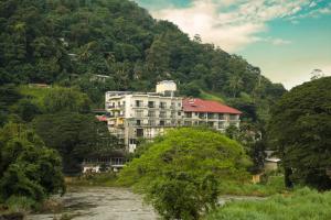 康提的住宿－奧克雷麗景灣酒店，山边的建筑物,毗邻河流