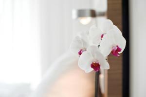 Foto sihtkohas Konstanz asuva majutusasutuse Hotel Constantia galeriist