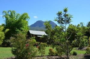 a house surrounded by trees with mountains in the background at Tuckeroo Cottages & Gardens in Rathdowney
