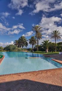 a swimming pool with palm trees in the background at Hotel Porto Santo & Spa in Porto Santo