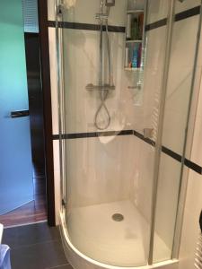 een douche met een glazen deur in een badkamer bij Schlosspark Bungalow in Seebenstein