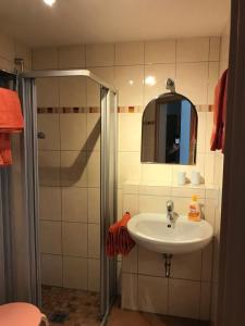 uma casa de banho com um lavatório e um chuveiro em Haus Ostermann em Cochem