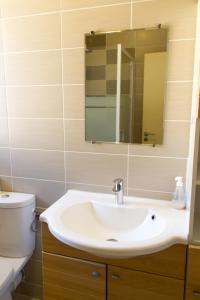 uma casa de banho com um lavatório, um WC e um espelho. em Le Puy Carmin - Gîte 6 personnes - 18 min du PuyDuFou em Bazoges-en-Paillers