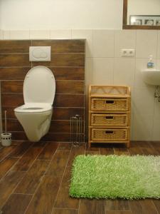 Haus Panorama في فيلزموس: حمام مع مرحاض ومغسلة وسجادة خضراء