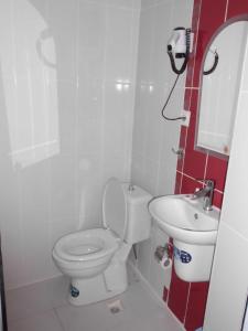 a small bathroom with a toilet and a sink at Hotel Kaya in Diyarbakır