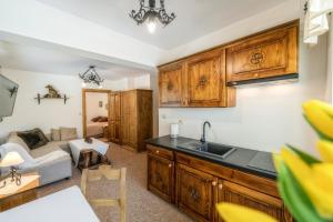 a kitchen with a sink and a living room at Willa Litworówka III in Poronin