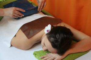 Lázně a/nebo wellness v ubytování Hotel Pod Sluncem