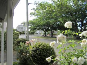 widok na ulicę z kwiatami przed budynkiem w obiekcie Arendon Cottage w mieście Evandale