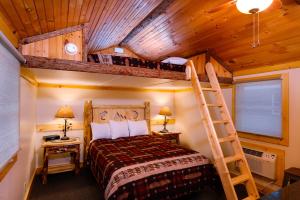 a bedroom with a bunk bed and a ladder at Cobble Mountain Lodge in Lake Placid