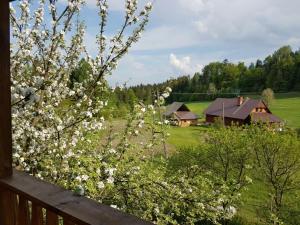 Príroda v okolí horskej chaty