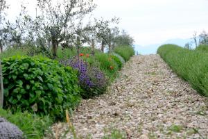 Gallery image of agriturismo2laghi in Ponti Sul Mincio