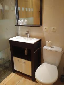ein Badezimmer mit einem weißen WC und einem Waschbecken in der Unterkunft Auberge de La Halle in Cordes-sur-Ciel