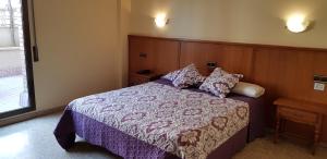 1 dormitorio con 1 cama con manta y almohadas moradas en Hotel Reina Isabel, en Lleida