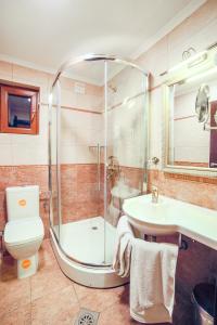 a bathroom with a shower and a toilet and a sink at Apartments Risteski in Ljubaništa