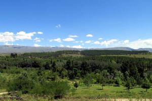 un campo verde con árboles y montañas al fondo en Cabañas San Miguel en Villa Yacanto