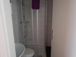 a bathroom with a shower with a toilet and a sink at Swiss Chalet Holidays Ringgenberg in Ringgenberg