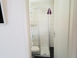 ein Bad mit einem WC und einer Dusche in der Unterkunft Swiss Chalet Holidays Ringgenberg in Ringgenberg
