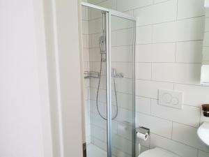 La salle de bains est pourvue d'une douche, de toilettes et d'un lavabo. dans l'établissement Swiss Chalet Holidays Ringgenberg, à Ringgenberg