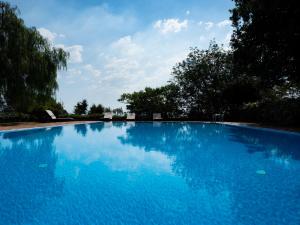 une grande piscine bleue avec des arbres en arrière-plan dans l'établissement Il palmento, à Santa Venerina