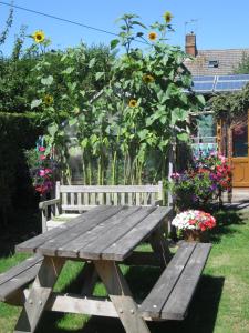 Perfect for Petersfield B&B في بيترزفيلد: طاولة نزهة خشبية في حديقة بها زهور