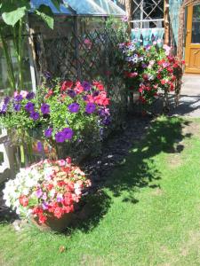 um grupo de flores num jardim em Perfect for Petersfield B&B em Petersfield