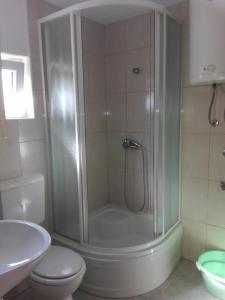 Koupelna v ubytování Apartment Josip -Tomic