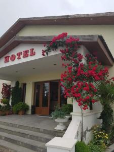 NatakhtariにあるHotel Emociaのギャラリーの写真 +65枚の写真