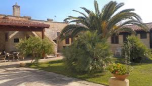 a house with a palm tree and a patio at Masseria Grande in Torre dell'Orso