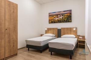 Tempat tidur dalam kamar di Ubytovna U Kašny