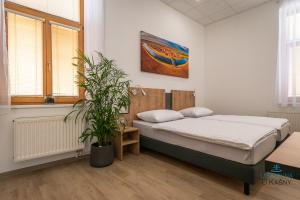 a bedroom with a bed and a potted plant at Ubytovna U Kašny in Uherské Hradiště