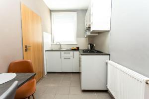 A kitchen or kitchenette at Pohoda Ubytovanie Stupava