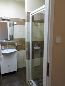 Bathroom sa Kerékvár apartman Gyula
