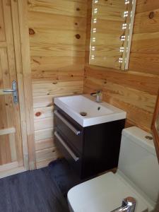 a bathroom with a sink and a toilet at West Pool Cabin in Lincoln