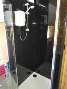 a shower with a glass door in a bathroom at West Pool Cabin in Lincoln
