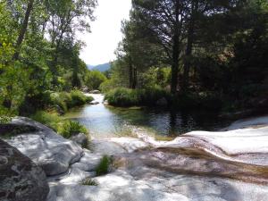 a stream of water with rocks and trees at Casa Rural Las Gesillas in Arenas de San Pedro