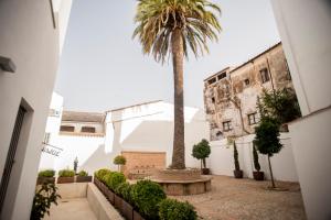 a palm tree in the courtyard of a building at MD Casa Palacio Muñoz Chaves Siglo XVIII in Cáceres