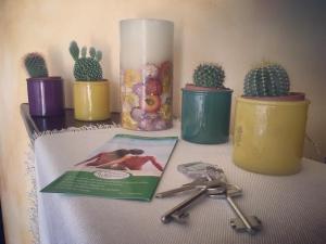 布多尼的住宿－Sa Murta Bianca Guesthouse，一张桌子,上面放两对剪刀和仙人掌