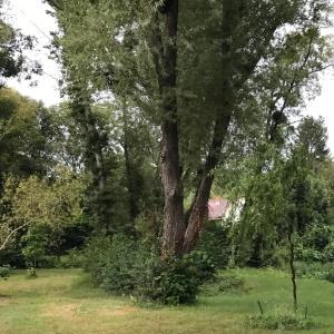 Príroda v okolí penziónu