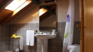 a bathroom with a sink and a mirror at Casa Rural El Pinar in Acebedo