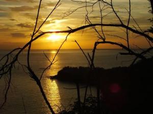 波尔兰特Gite Palmier的相册照片